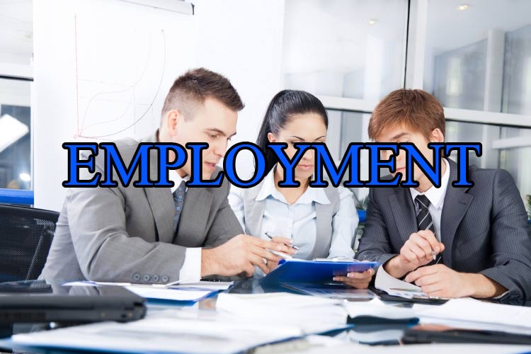 employment-vanity-phone-numbers
