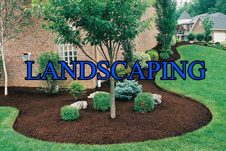 landscaping-vanity-phone-numbers